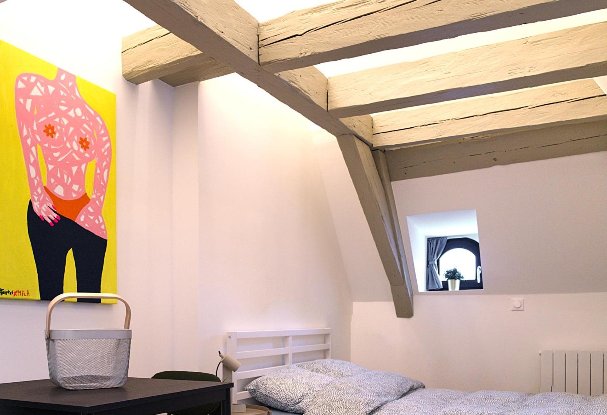 Le Salzmann Apartman Strasbourg Kültér fotó
