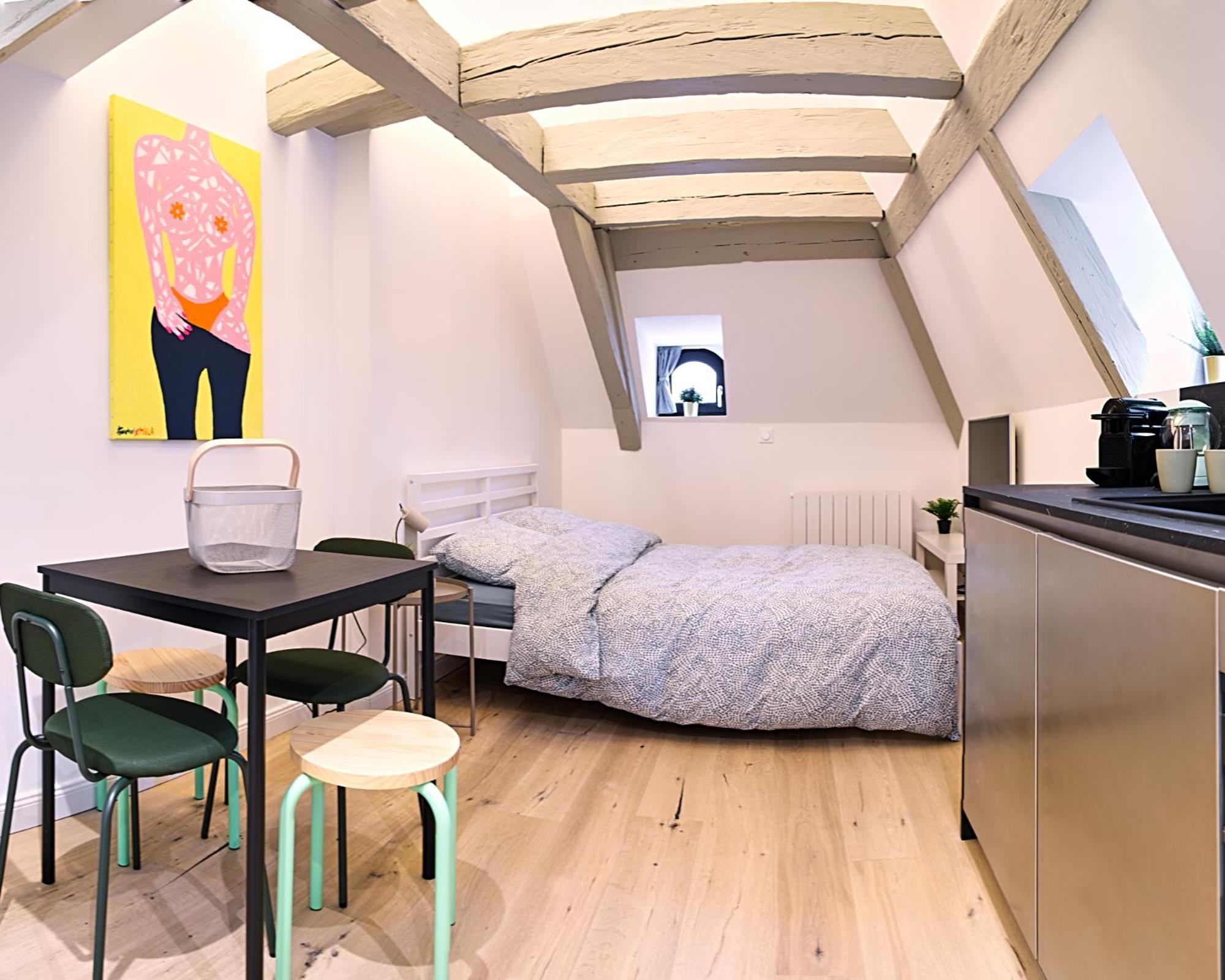Le Salzmann Apartman Strasbourg Kültér fotó
